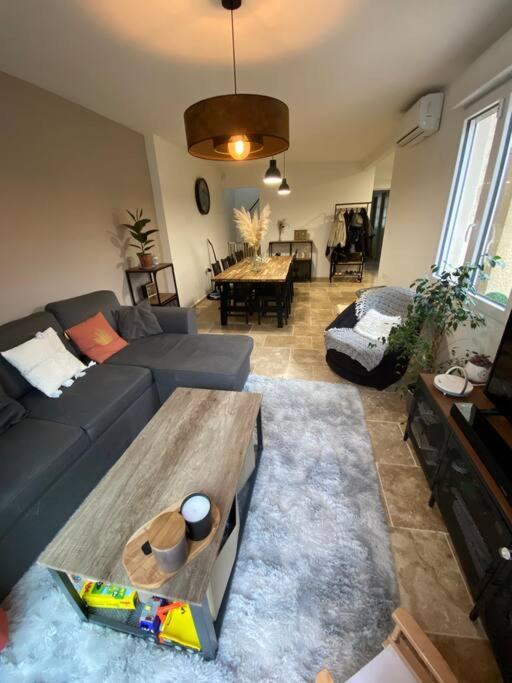 Vakantiehuis Maison A L'ile De La Barthelasse